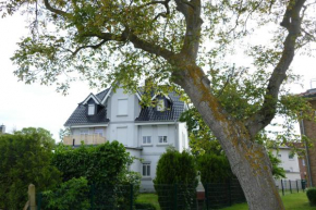 Kühnert Wohnung 3